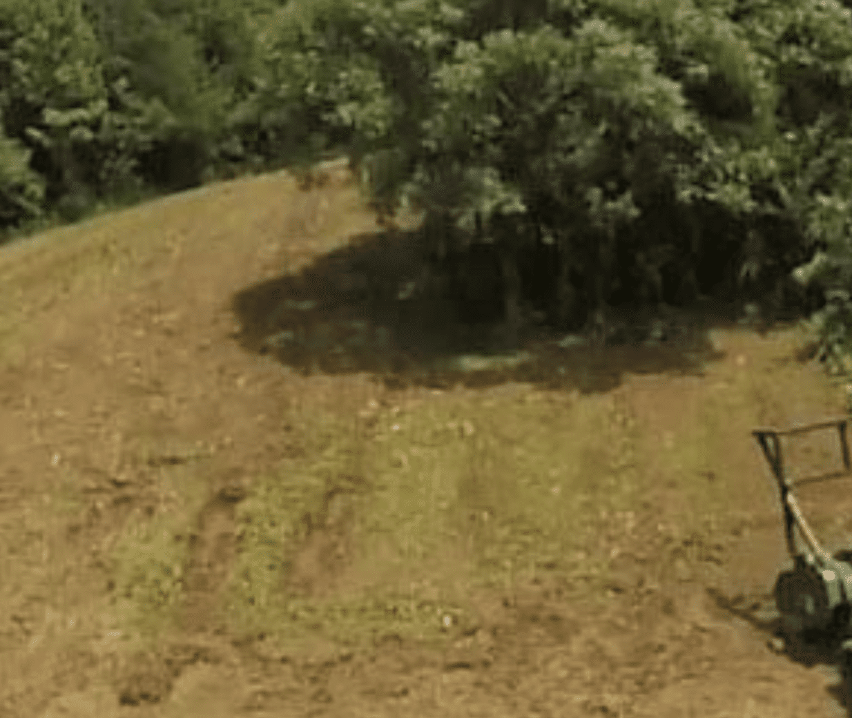 Reclaimed pasture land cleared of invasive species