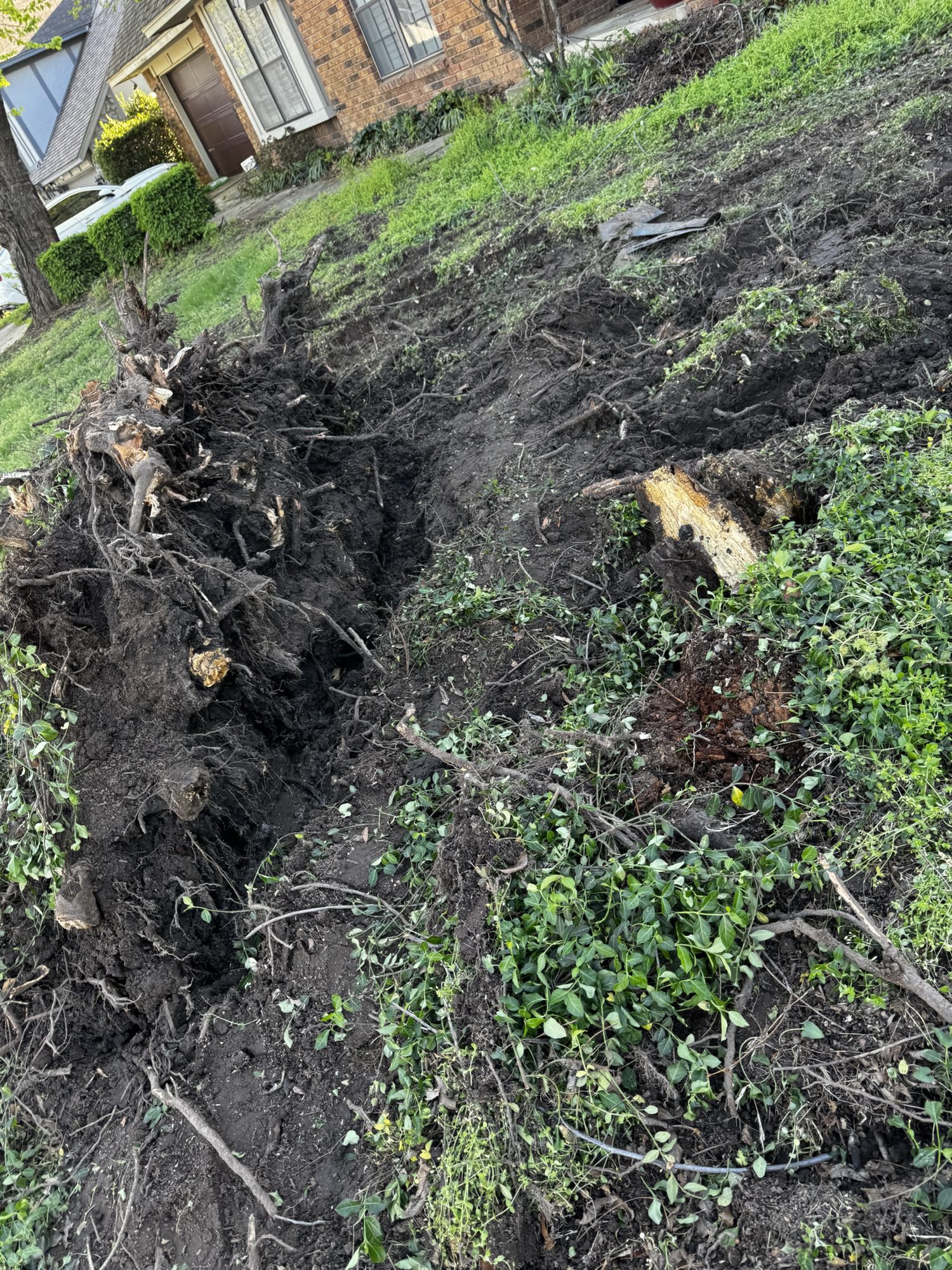 Before — fallen tree damage on Tulsa, Oklahoma residential property