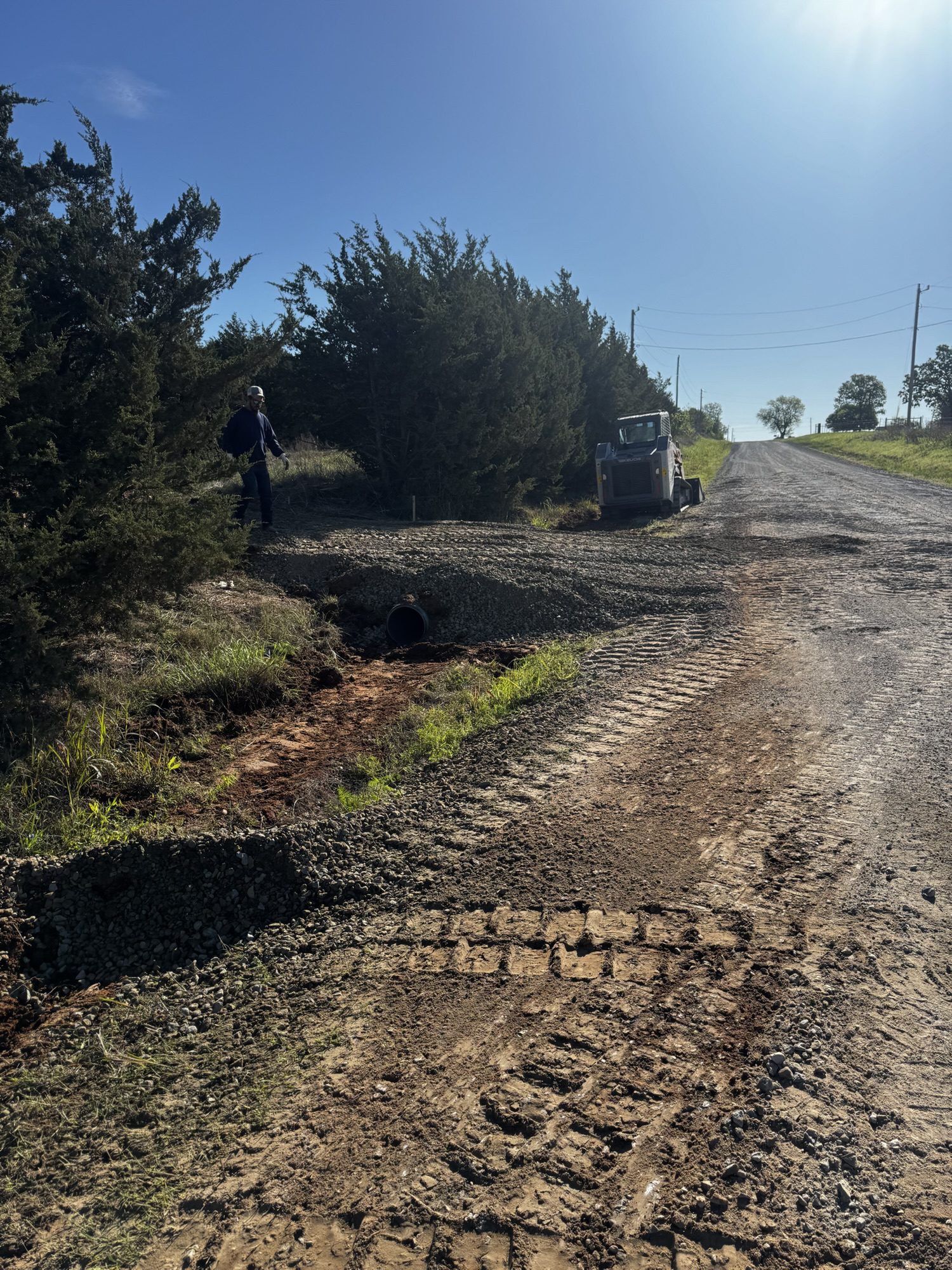 Before forestry mulching — overgrown brush in Stillwater, Oklahoma