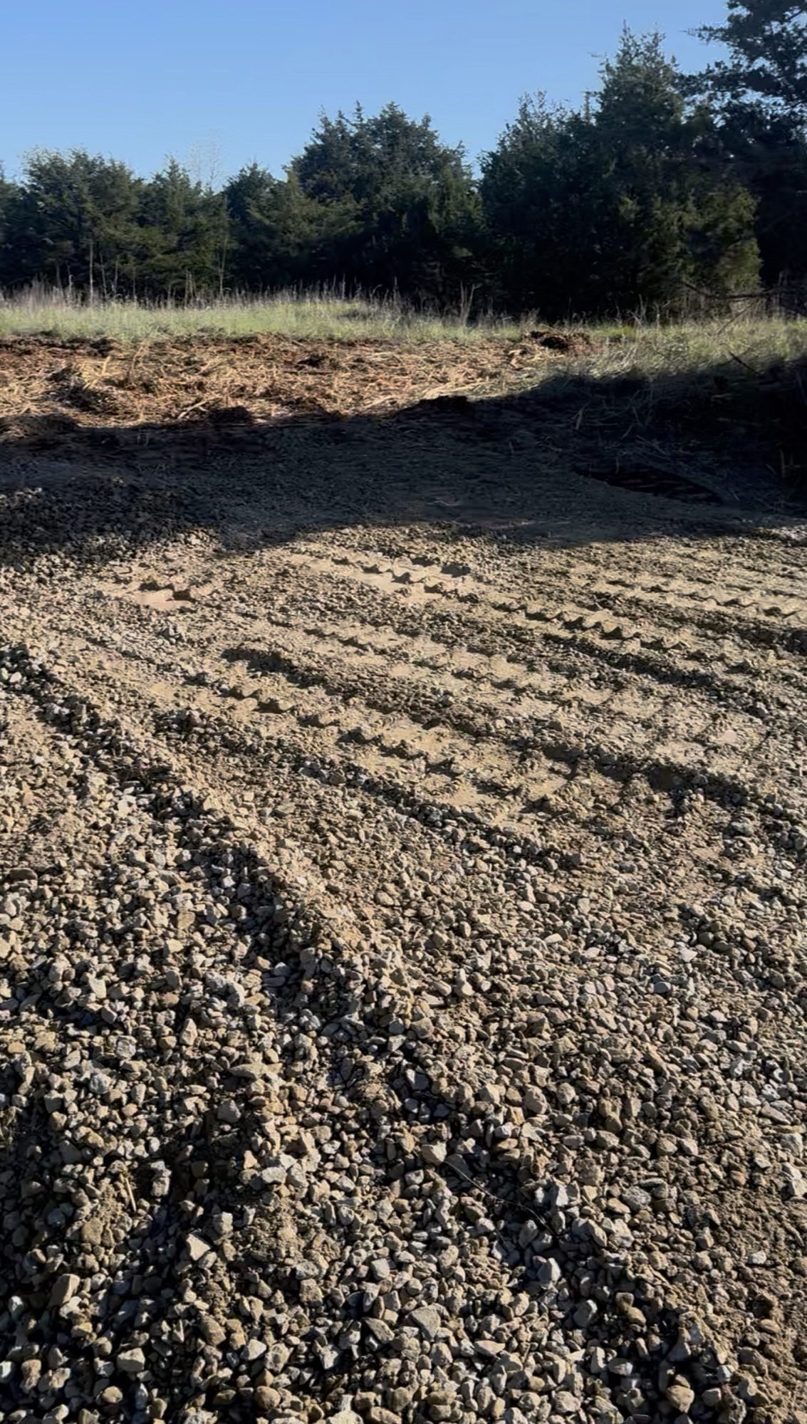 Before land clearing — overgrown property in Stillwater, Oklahoma