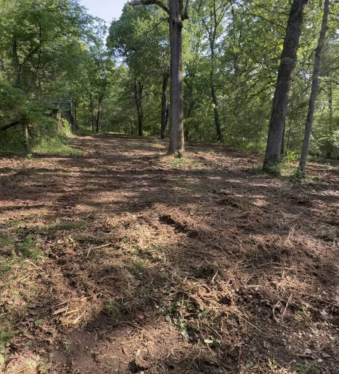 Forestry mulching results in Mayes County, Oklahoma - wooded hillside cleared and mulched flat while preserving mature hardwood canopy