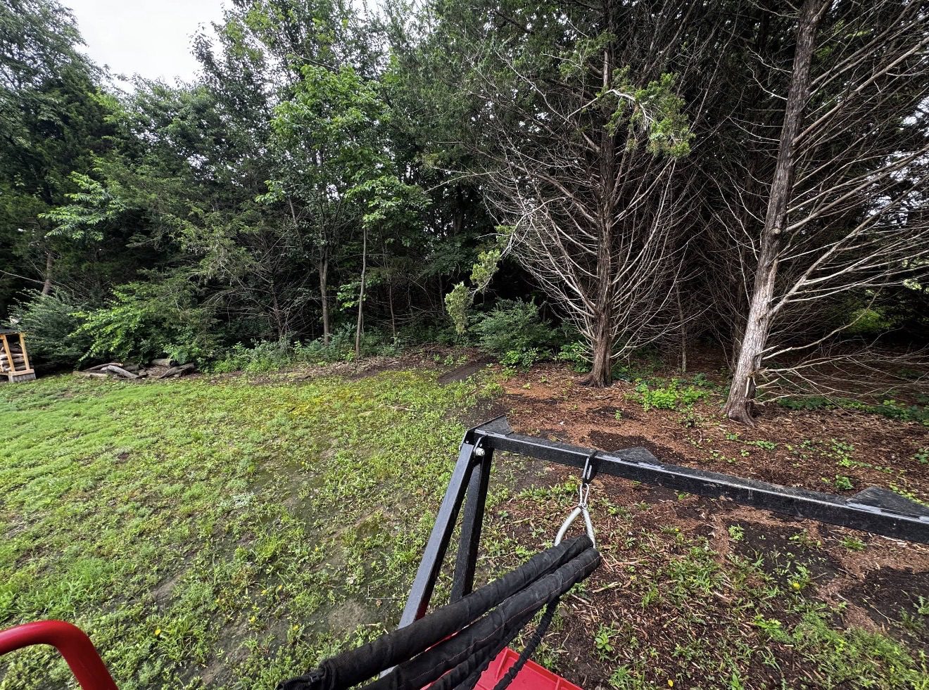 Before forestry mulching: dense cedar, brush, and overgrowth covering a wooded property in Bartlesville, Washington County, Oklahoma