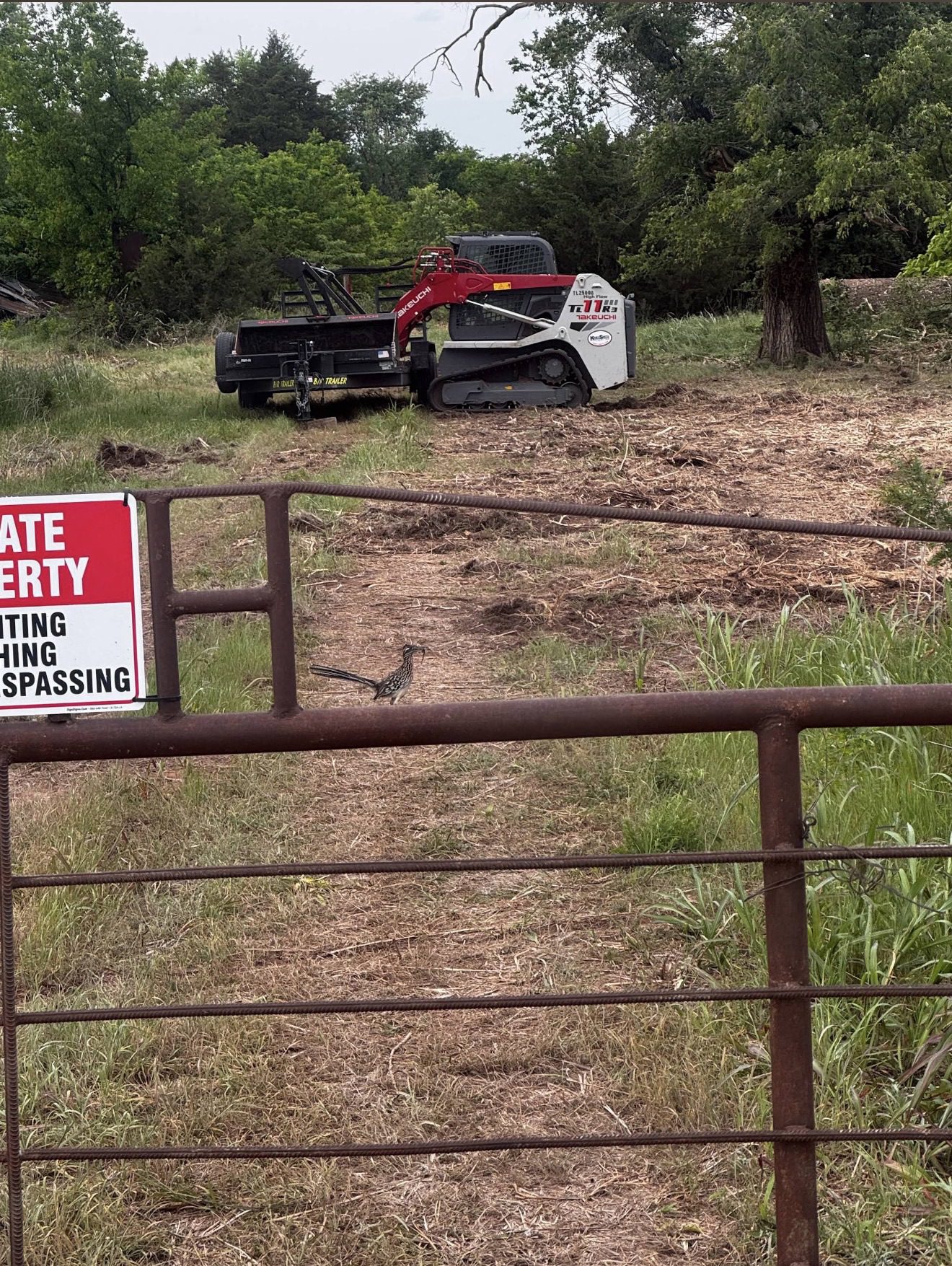 Two-acre overgrowth and volunteer cedar cleared by forestry mulching on a property in Payne County near Stillwater, Oklahoma, with mulch left as a protective layer over the soil