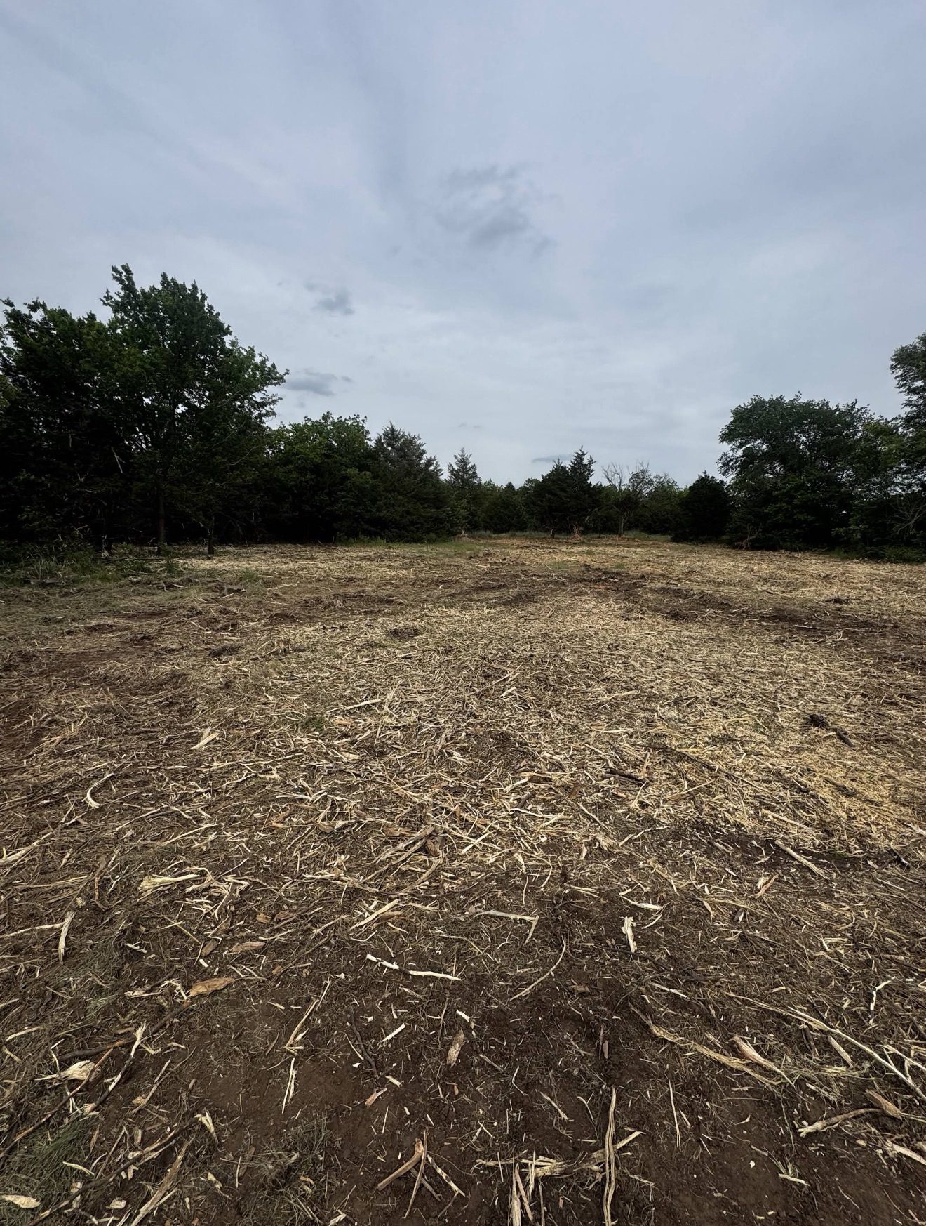 Open, mulched two-acre clearing after forestry mulching in Payne County near Stillwater, Oklahoma, ready for pasture, food plots, or a future build site