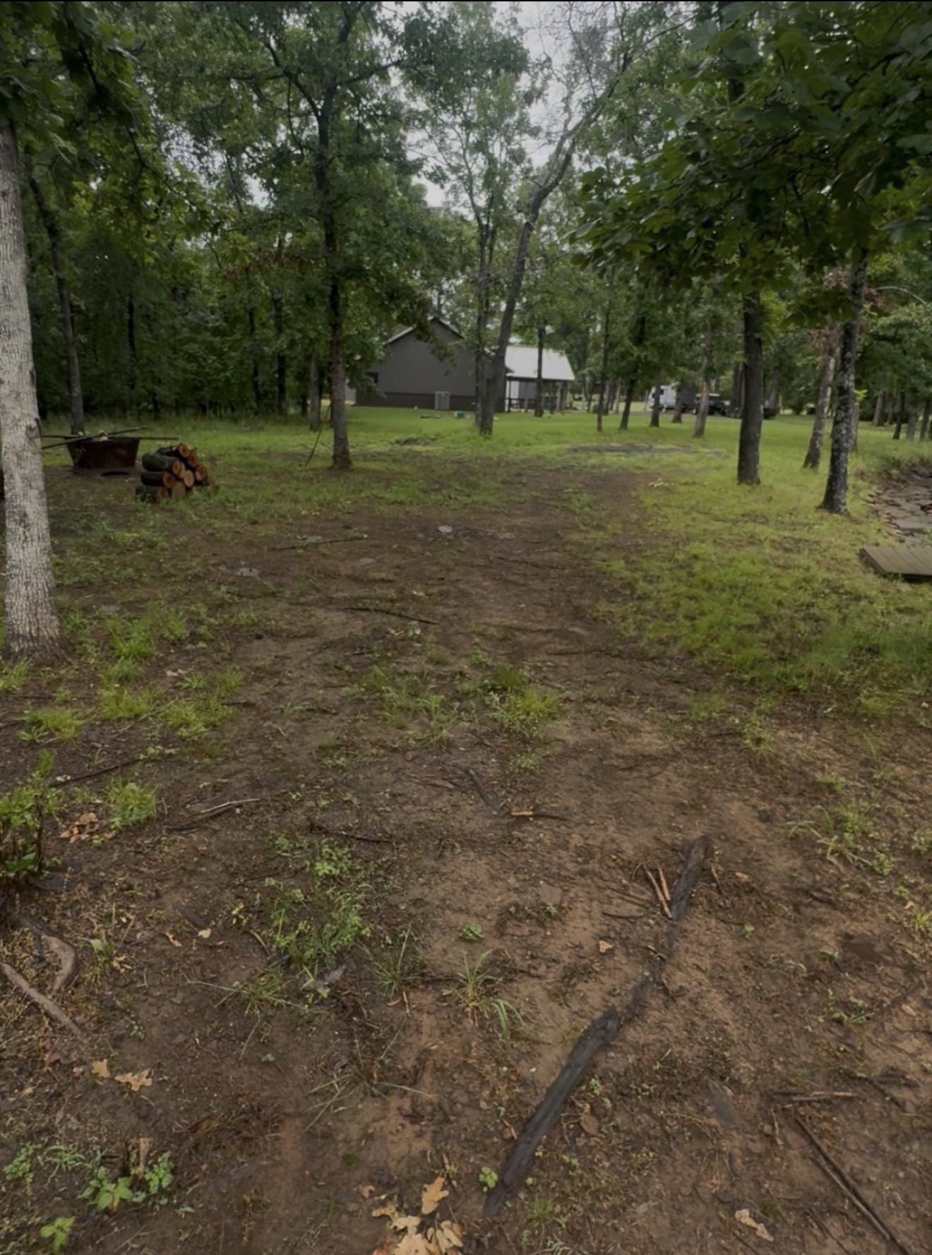 Uneven, patchy wooded ground with thin grass and bare spots before soil conditioning in Cookson, Cherokee County, Oklahoma
