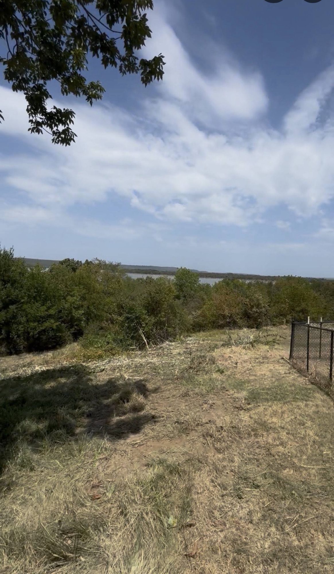 Overgrown brush and small trees blocking the view off the back of a quarter-acre lot in McAlester, Pittsburg County, Oklahoma before brush clearing