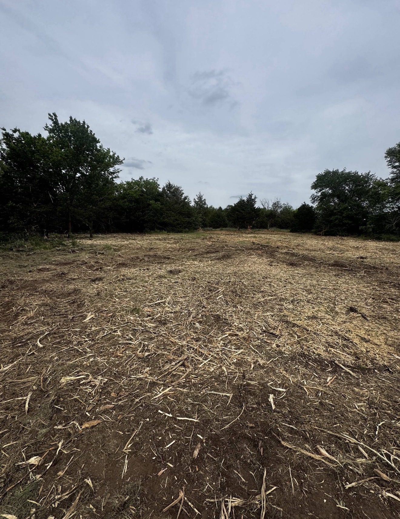Best Time of Year to Clear Land in Oklahoma